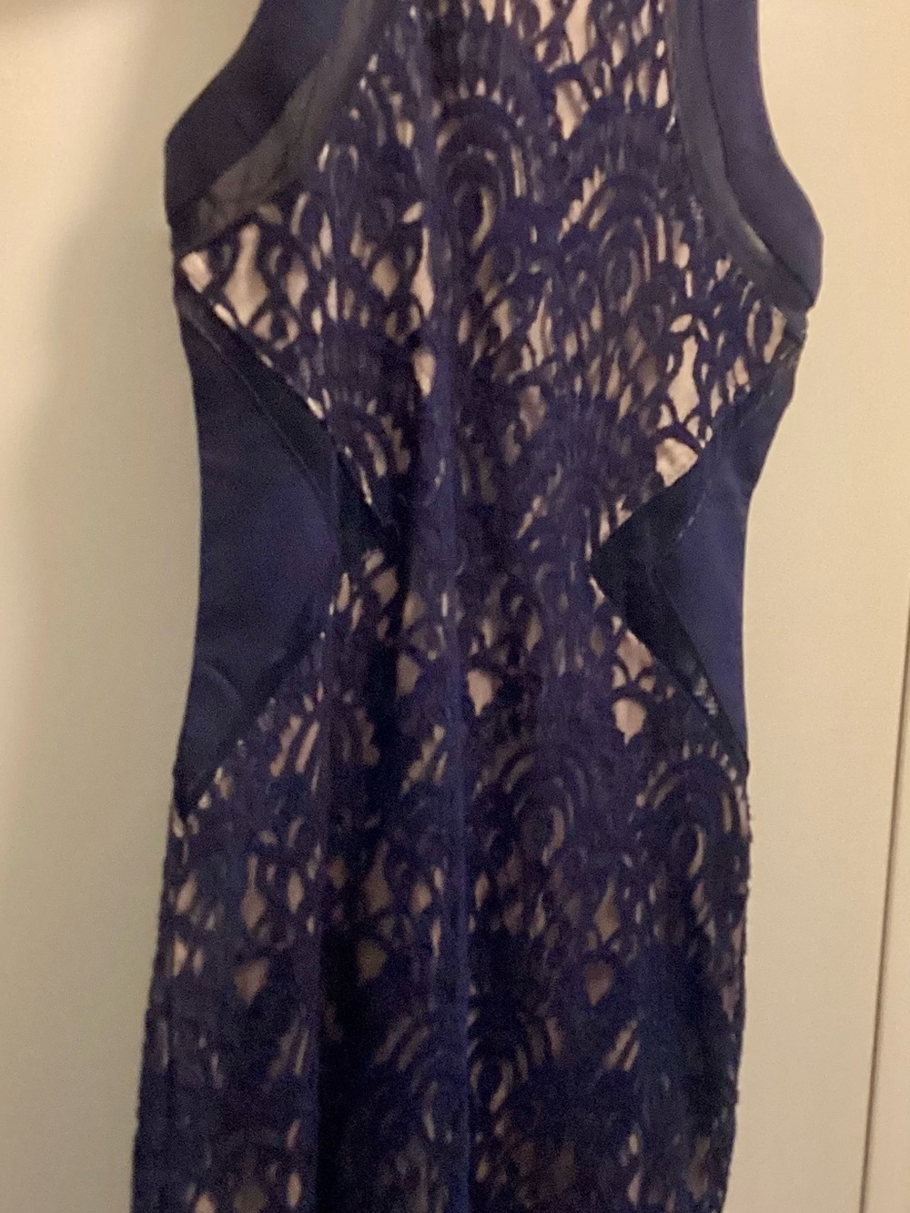 Xenia Boutique Navy and Nude Lace Dress
